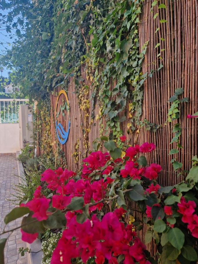 辛特拉Casa Do Albuquerque II公寓 外观 照片